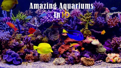 Amazing Aquariums In HD screenshot 1