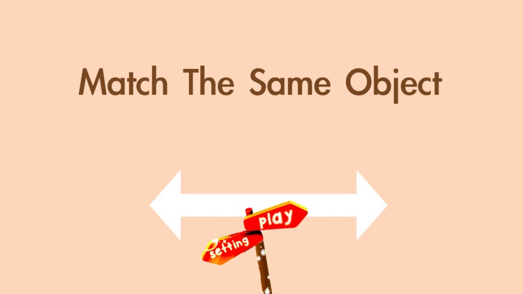 Match The Same Object