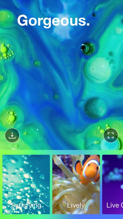 Live wallpaper & backgrounds!