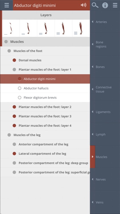 Leg, Ankle, Foot: 3D Real-time