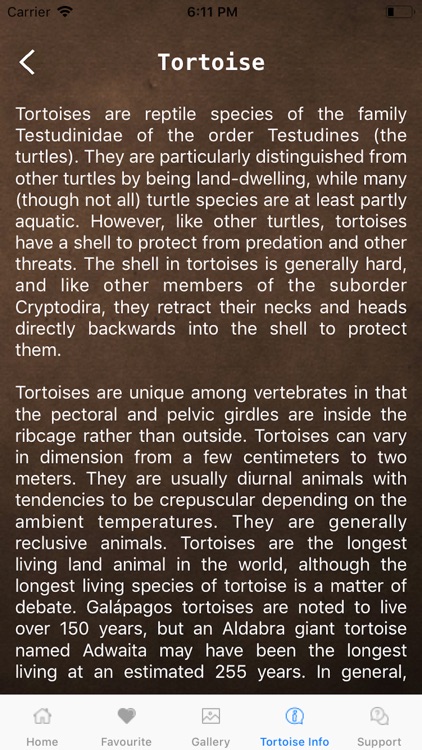 Tortoise Creep screenshot-3