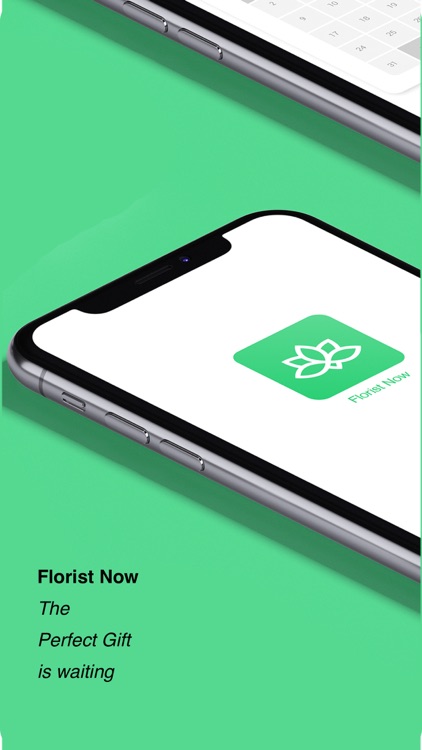 Florist Now- Flowers & Gifts