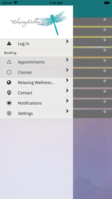 Relaxing Wellness screenshot 3