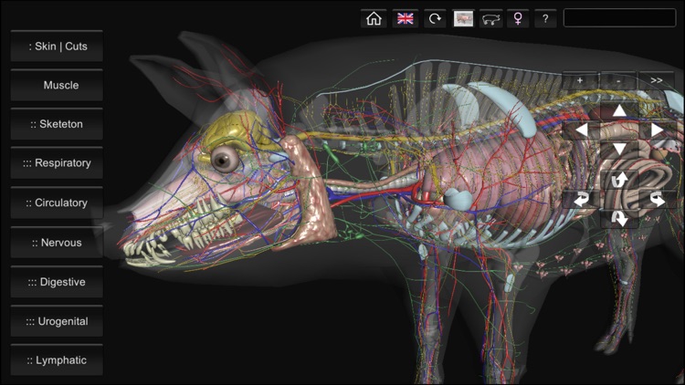 3D Pig Anatomy screenshot-0