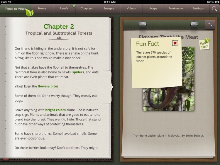 Pines to Vines - Forest Biome screenshot-6