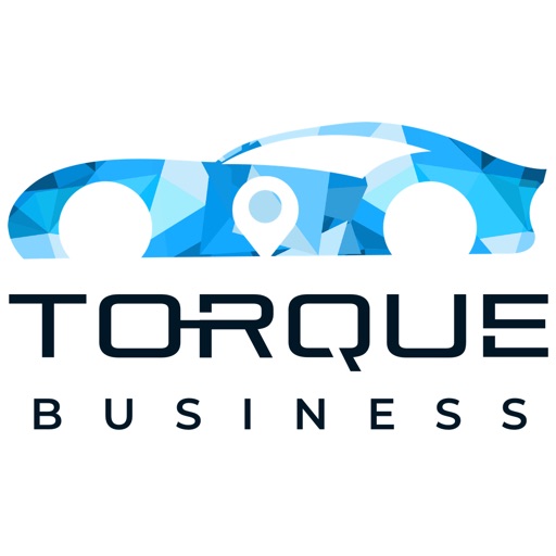 Torque Business Icon