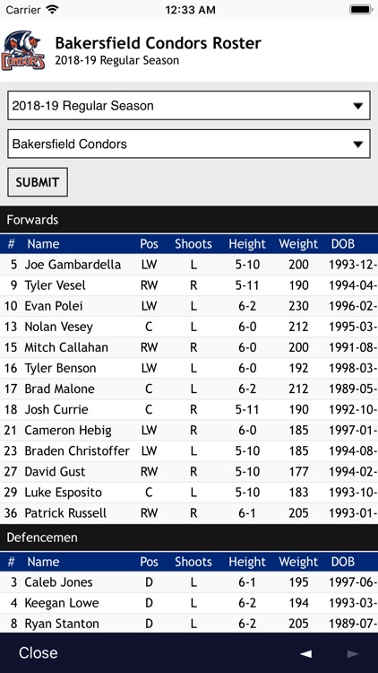 AHL screenshot-3