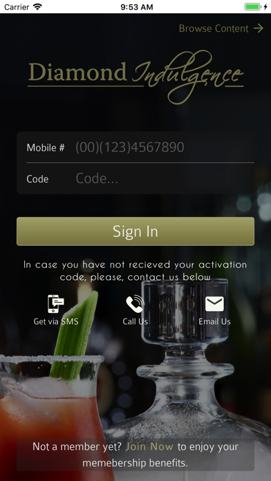 App preview