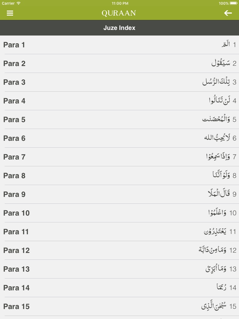 Quraan-E-Karim (15 Lines) screenshot 3