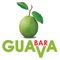 Быстрая доставка еды от Guava Bar