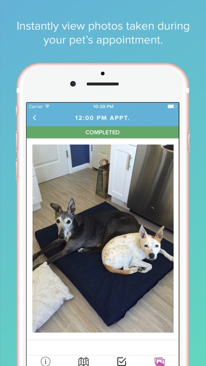 Scout for Pet Owners screenshot-4