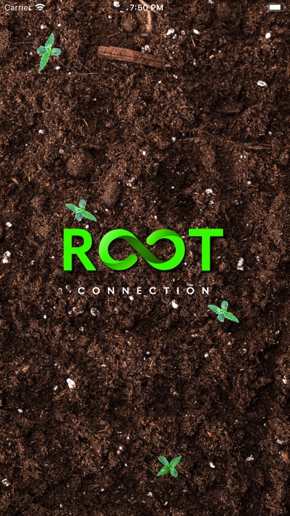 Root - Experience Cannabis