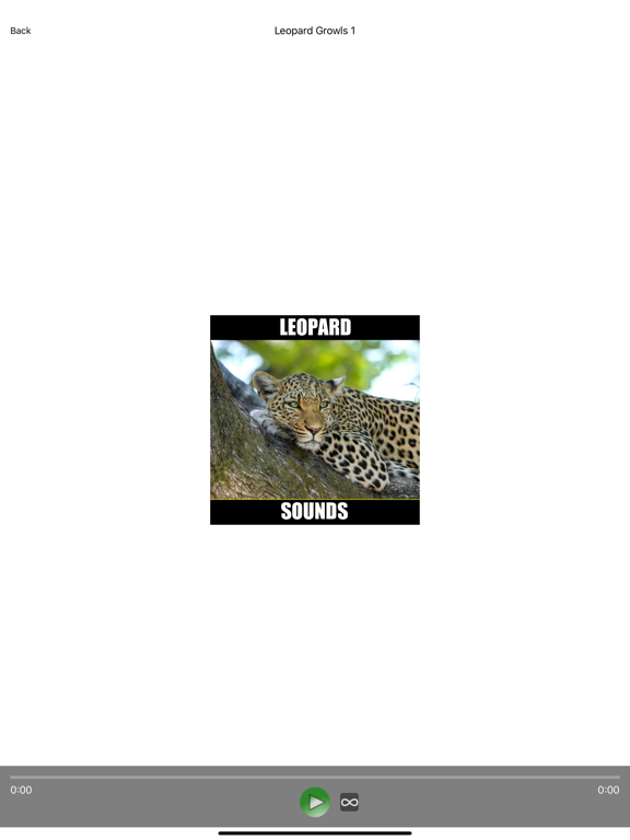 Leopard Sounds screenshot 4