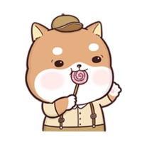 Shiba Inu Puppy pour PC