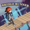 Check out new strategy game "Risky Bridge Cross runner"