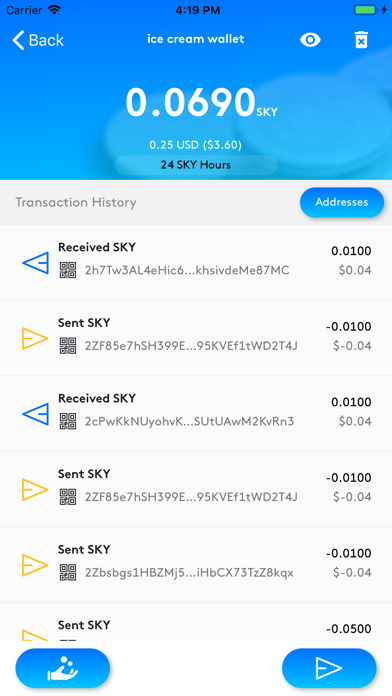 Skycoin screenshot 2