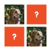 Matching Game sur PC