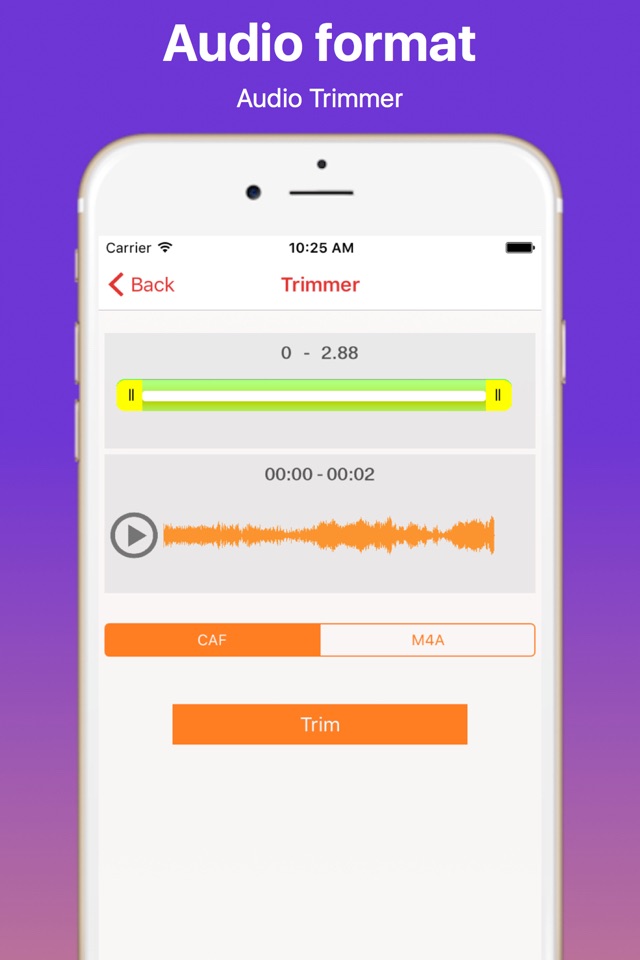 Voice Recorder and Cutter Pro screenshot 4