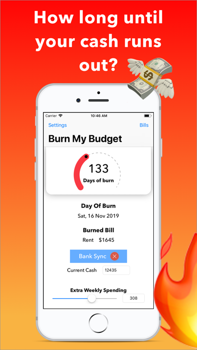 How to cancel & delete Burn My Budget from iphone & ipad 1