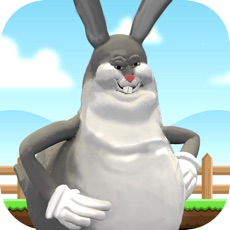 Activities of Chungus Rampage in Big forest