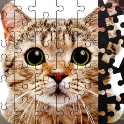 Live Jigsaw Puzzles