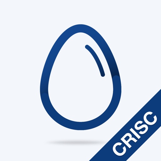 CRISC Practice Test