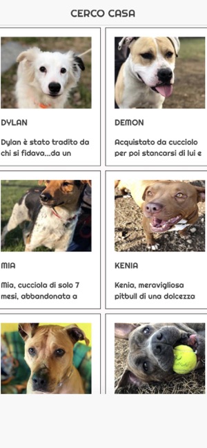 Pet Rescue Italia(圖3)-速報App