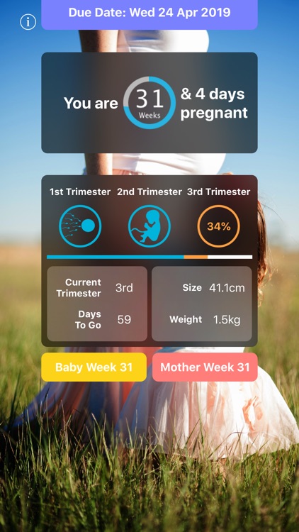 Pregnancy Today - Baby Tracker
