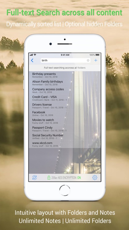 The Vault - Security Made Easy