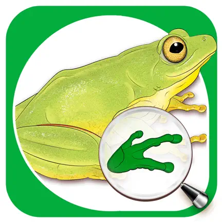 Sasol Young Explorer Frogs Читы