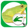 Get Sasol Young Explorer Frogs for iOS, iPhone, iPad Aso Report