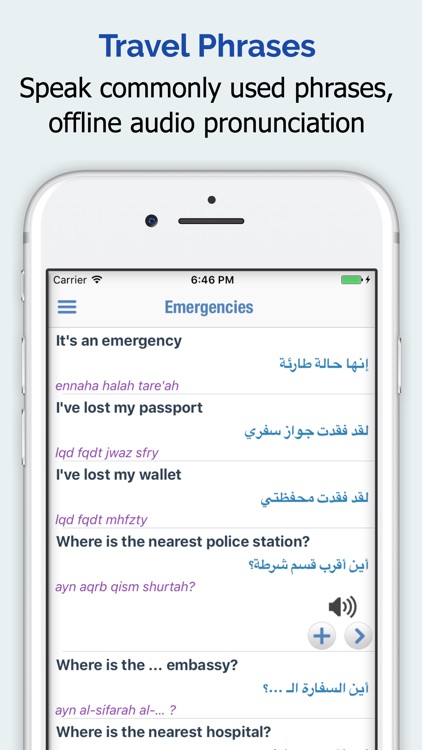 Arabic Dictionary + screenshot-3