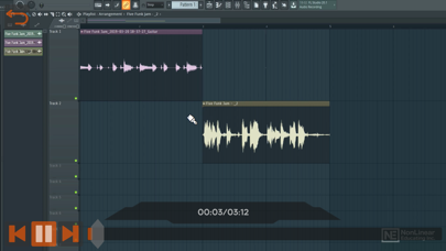 Audio Course For FL Studio screenshot 3