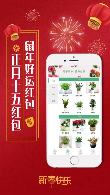 欢乐绿植屋-新年优惠红包每日抢