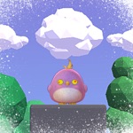 Rescue Bird