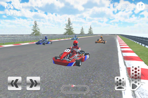 Go Kart Racing Cup 3D - náhled