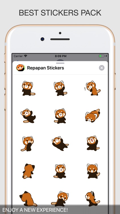 Repapan Stickers