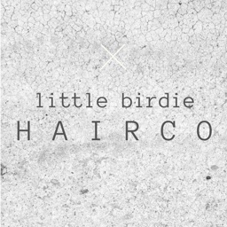 Little Birdie Hair Co