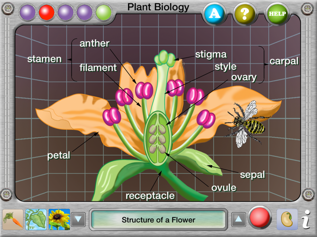 Plant Biology Explorer(圖4)-速報App