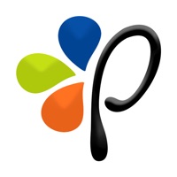 Picasso Pinturerías