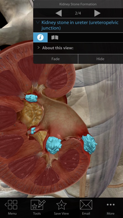 Physiology & Pathology screenshot-3