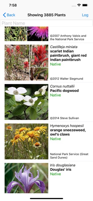 Central California Wildflowers(圖2)-速報App