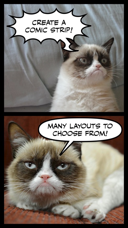 Comic Caption Meme Maker Lite screenshot-4