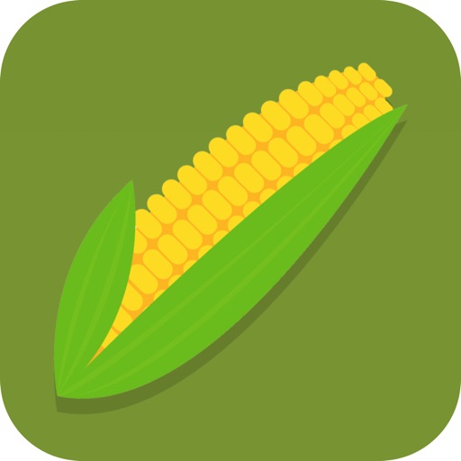 Corn farm