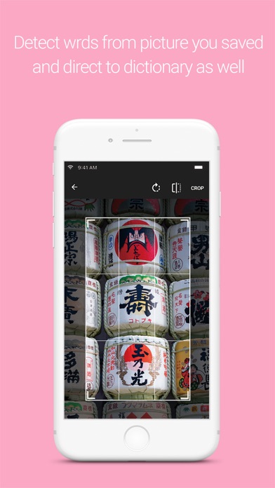 KanjiCam - Japanese Camera Dic screenshot 4