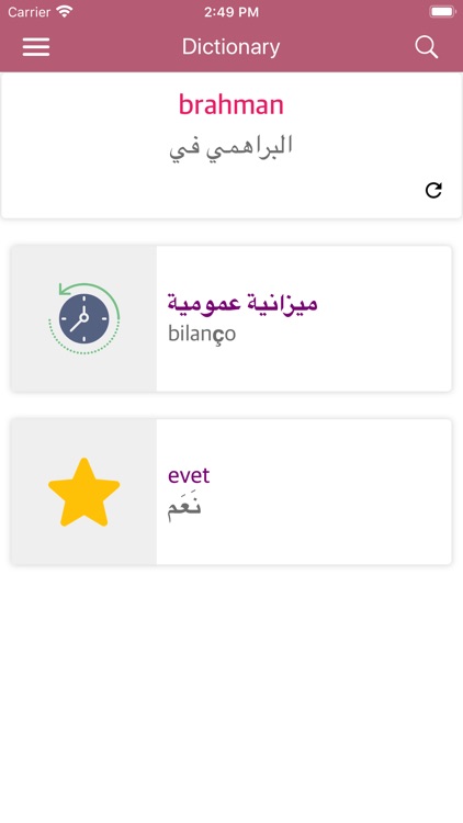 Turkish Arabic Dictionary screenshot-6