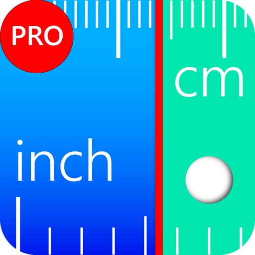 Ruler Pro.