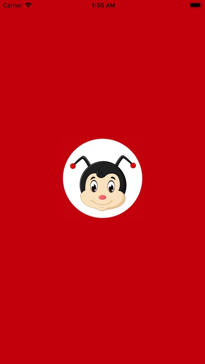 LadyBug Online Delivery