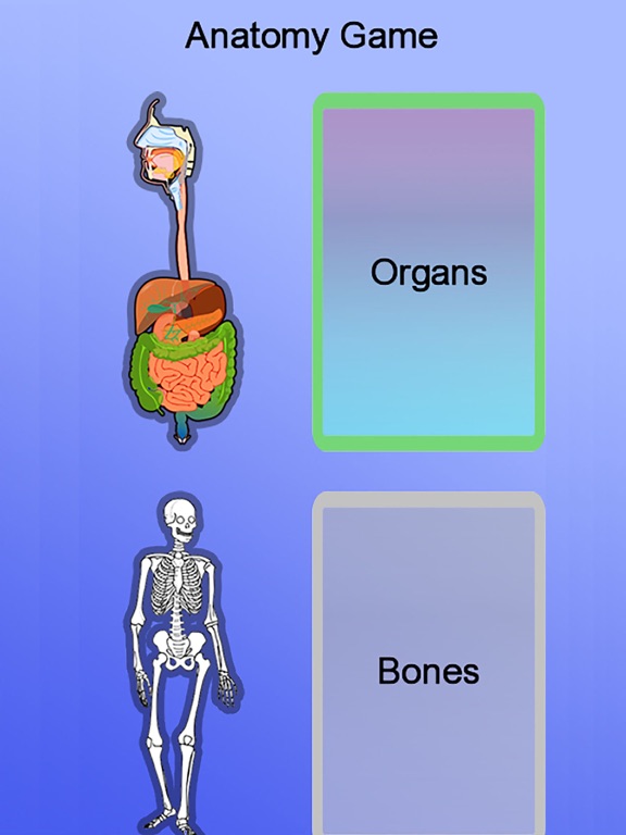 Anatomy pro. Игра анатомия. Игры по анатомии. Игра анатомия человека для детей. Анатомия игра на телефон.