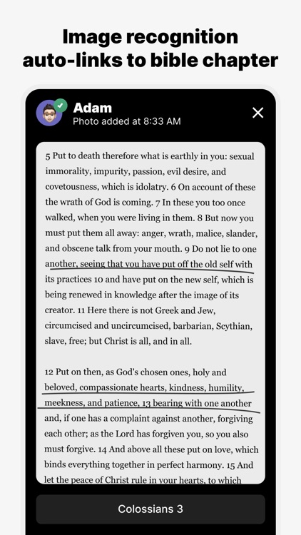 Twelve: Read the Bible daily screenshot-3